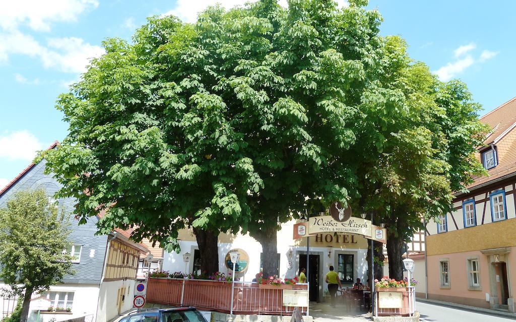 הונשטיין Mb Hotel Weisser Hirsch מראה חיצוני תמונה